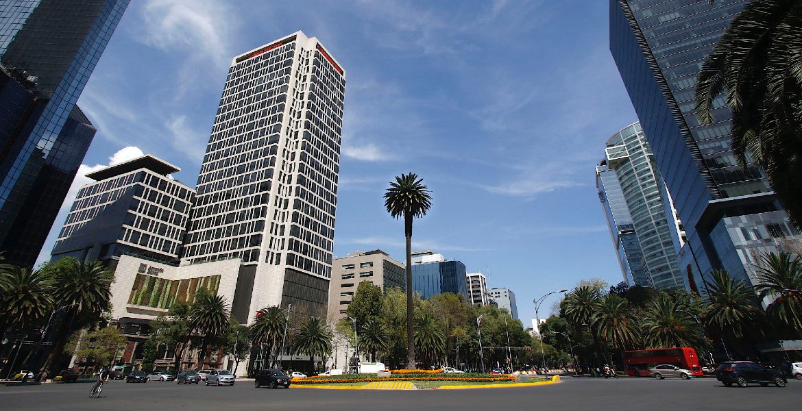 palma de reforma