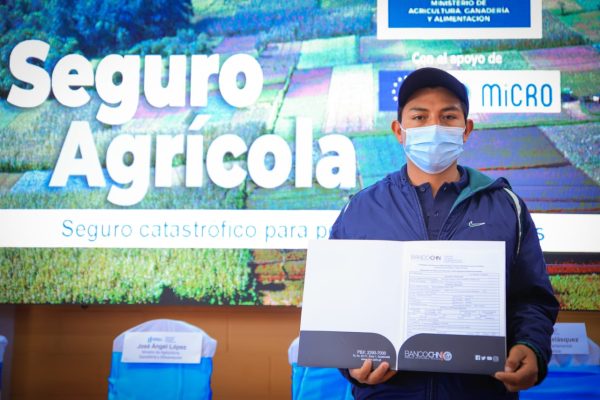 GUATEMALA SEGURO AGRICOLA
