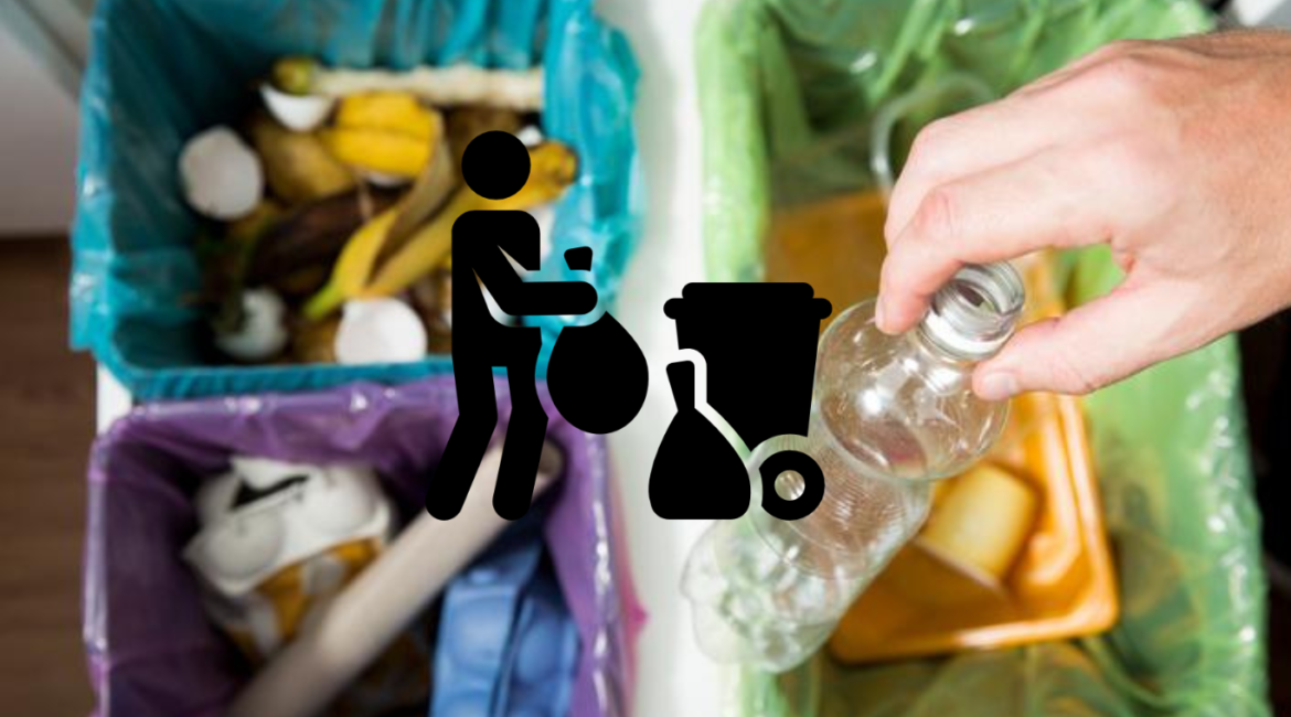 Todos los ciudadanos deberán clasificar la basura en tres categorías: orgánicos, reciclables y no reciclables.