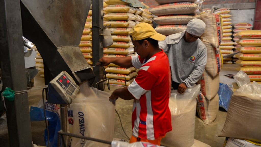 Azúcar en Guatemala: Desmintiendo el mito de los precios altos