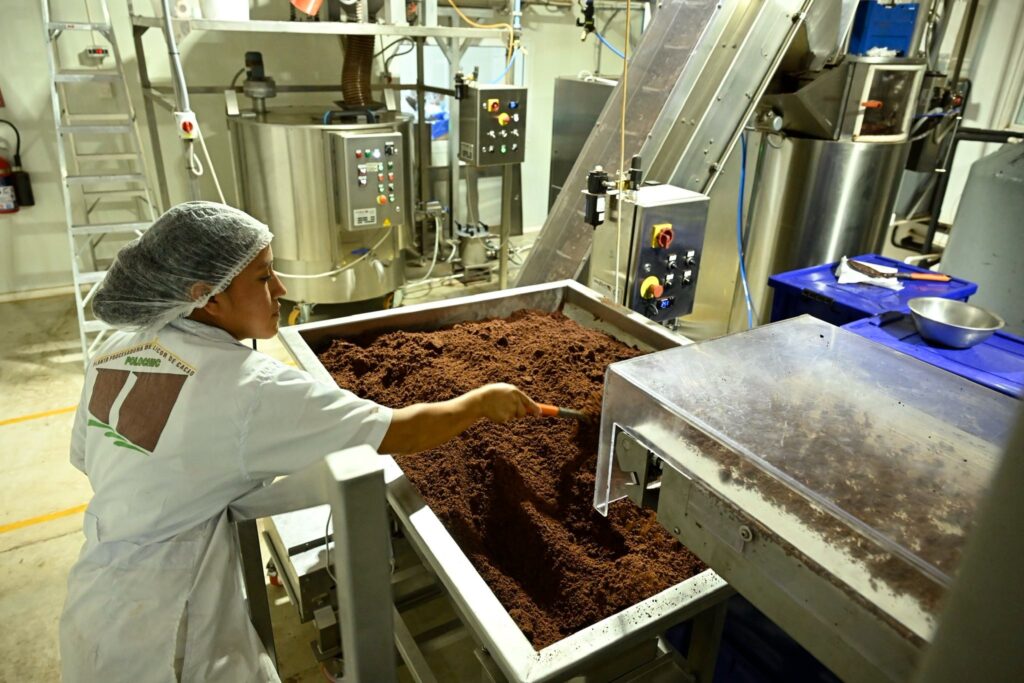 Bernardo Arévalo cacao