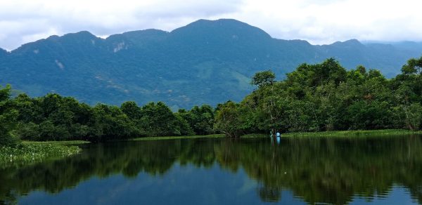 La biodiversidad florece dentro de Bocas del Polochic
