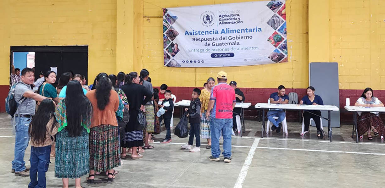 Más de medio millón de familias reciben apoyo alimentario
