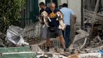 Perros y gatos rescatados tras los terremotos en Venezuela