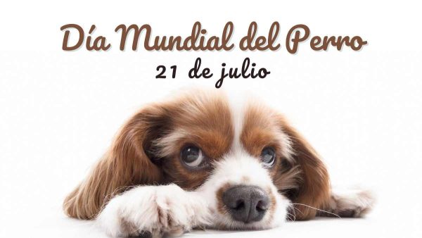Día Mundial del perro: por qué millones lo celebran