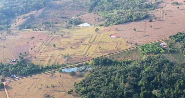 Un grupo internacional de científicos identificó más de 20 mil geoglifos ocultos bajo la selva amazónica