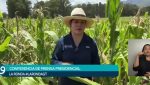 La ministra María Fernanda Rivera Dávila durante la conferencia La Ronda desde una parcela de maíz, explicando el uso eficiente del agua en la agricultura.