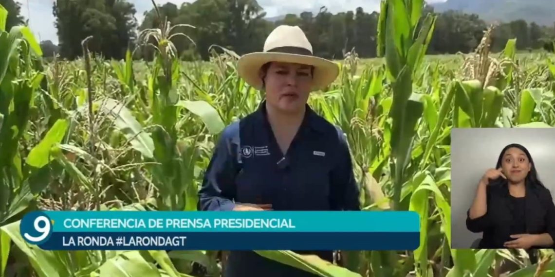 La ministra María Fernanda Rivera Dávila durante la conferencia La Ronda desde una parcela de maíz, explicando el uso eficiente del agua en la agricultura.