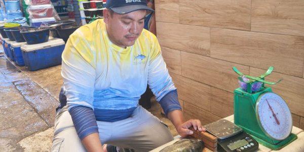 Técnicos de la DIPESCA y pescadores artesanales recolectando y clasificando especímenes durante el séptimo monitoreo pesquero.