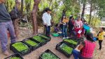 Familias de la comunidad El Suquinay en Jalapa recibiendo pilones de hortalizas para la siembra en su huerto comunitario.