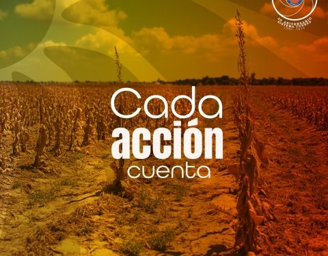 Personal técnico instalando sistemas de reserva hídrica e inspeccionando fuentes de agua para prevenir la sequía.