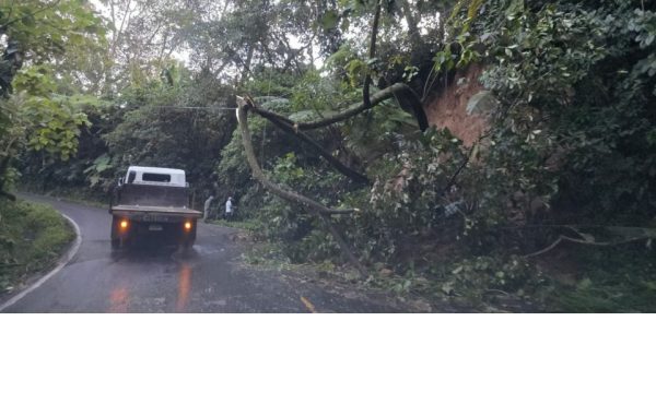 Más de 1,600 emergencias por lluvias, informa Conred