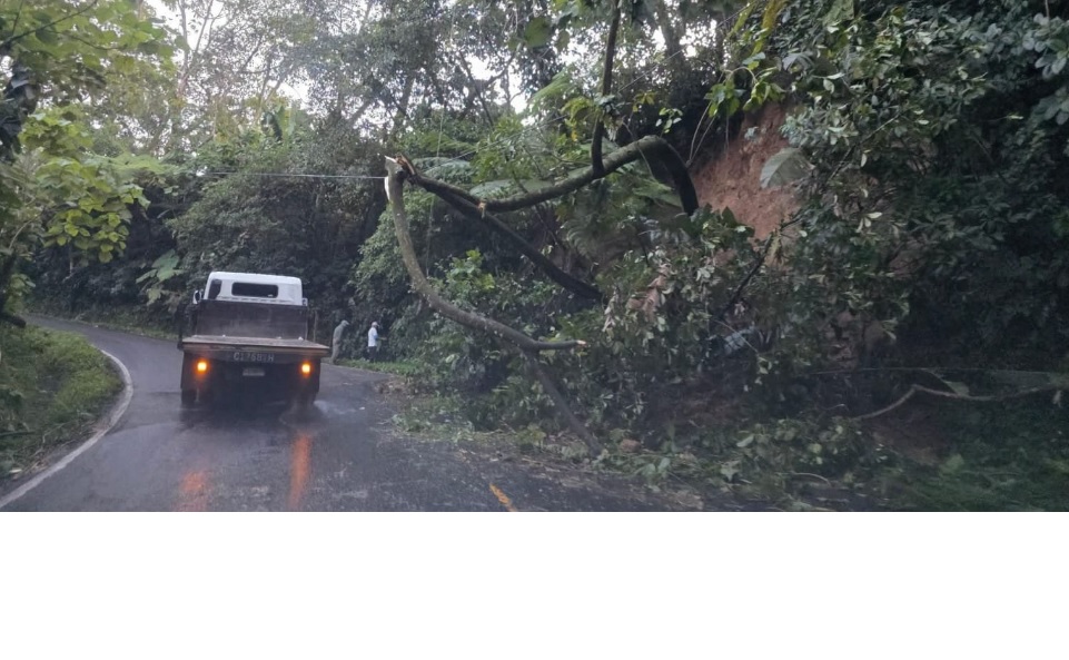 Más de 1,600 emergencias por lluvias, informa Conred