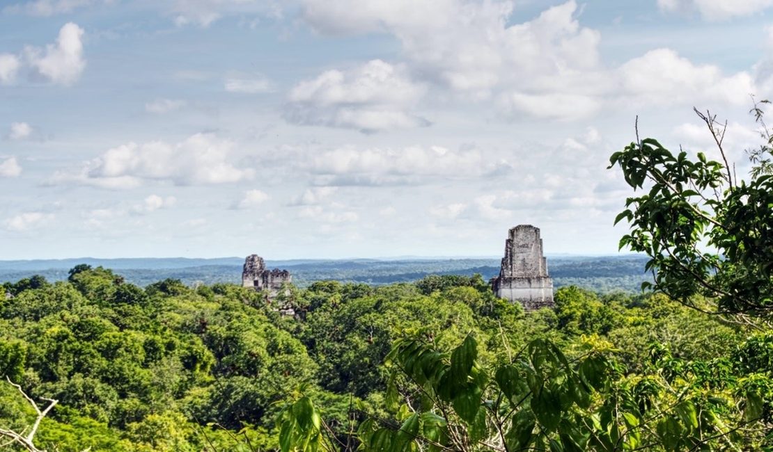 Bosque de la Reserva de la Biosfera Maya en Petén durante el anuncio del Proyecto Nacional Bosques Críticos Mesoamericanos