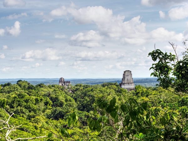 Bosque de la Reserva de la Biosfera Maya en Petén durante el anuncio del Proyecto Nacional Bosques Críticos Mesoamericanos
