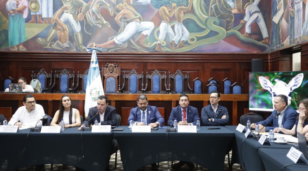 Foto: X @CongresoGuate